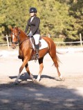 DSC01840 DSC01840