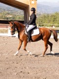 DSC01844 DSC01844