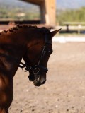 DSC01845 DSC01845