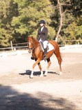 DSC01853 DSC01853