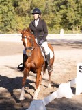 DSC01873 DSC01873
