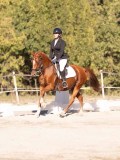 DSC01878 DSC01878