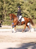 DSC01879 DSC01879