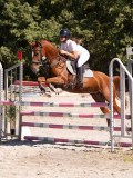 DSC04459 DSC04459