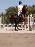 DSC04463 DSC04463