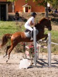 DSC04466 DSC04466