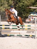 DSC04468 DSC04468