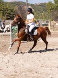 DSC04469 DSC04469