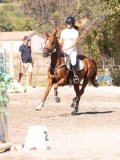 DSC04473 DSC04473