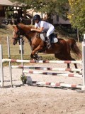DSC04474 DSC04474