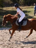 DSC04476 DSC04476