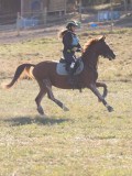 DSC05339 DSC05339