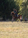 DSC05343 DSC05343
