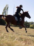 DSC05346 DSC05346