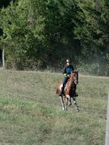 DSC_6250 DSC_6250
