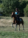DSC_6251 DSC_6251