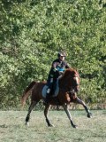 DSC_6256 DSC_6256