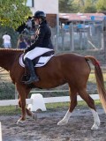 DSC02154 DSC02154
