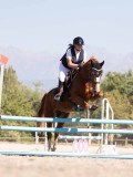 DSC03918 DSC03918