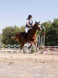 DSC03919 DSC03919