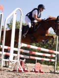DSC03920 DSC03920