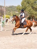DSC03925 DSC03925