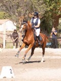 DSC03929 DSC03929