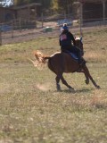 DSC05105 DSC05105