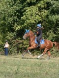 DSC_6103 DSC_6103