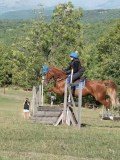 DSC_6104 DSC_6104