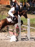 DSC04070 DSC04070