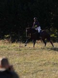 DSC05299 DSC05299