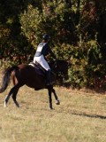 DSC05304 DSC05304