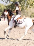 DSC03243 DSC03243