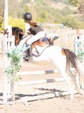 DSC03244 DSC03244