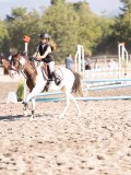 DSC03250 DSC03250