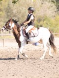 DSC03254 DSC03254
