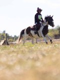 DSC04621 DSC04621