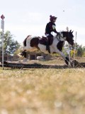 DSC04622 DSC04622