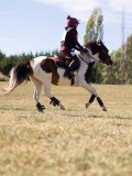 DSC04624 DSC04624
