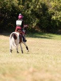 DSC04625 DSC04625