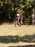DSC04627 DSC04627