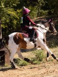 DSC04629 DSC04629