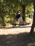 DSC04630 DSC04630