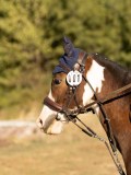 DSC05284 DSC05284