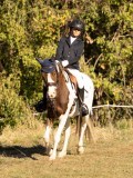 DSC05290 DSC05290