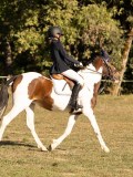 DSC05292 DSC05292