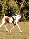 DSC05295 DSC05295