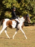 DSC05296 DSC05296