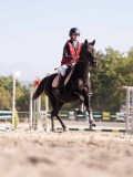 DSC03366 DSC03366